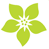 Jasmine Flower Icon